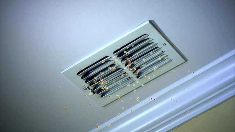 Best Affordable Duct Cleaning Services  in Bayou Blue, LA