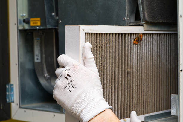 Best Emergency Air Duct Cleaning  in Bayou Blue, LA