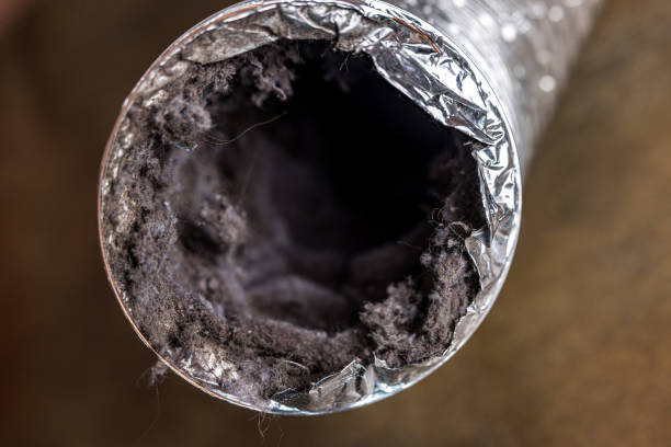 Best Best Air Duct Cleaning Company  in Bayou Blue, LA
