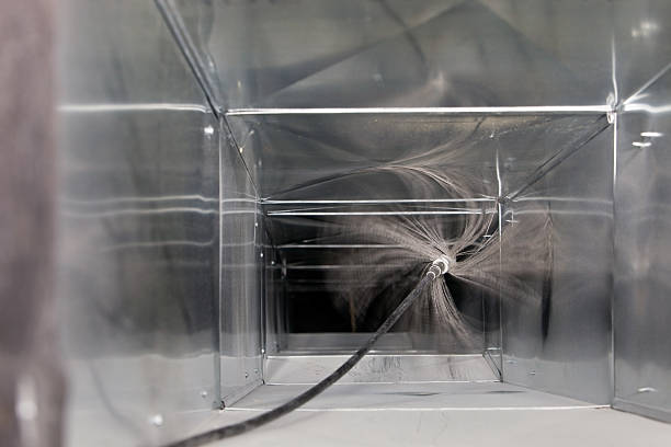 Air Duct Mold Removal in Bayou Blue, LA