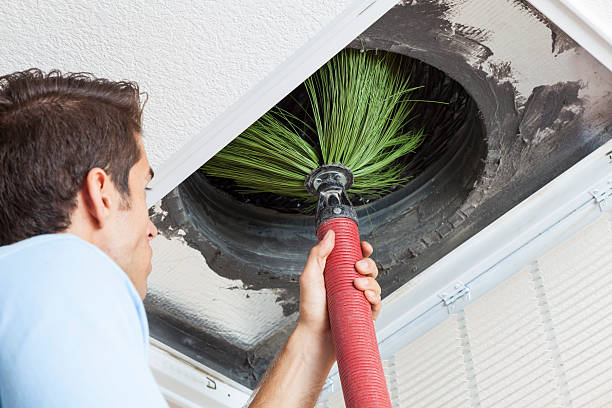 Best Local Air Duct Cleaning Services  in Bayou Blue, LA
